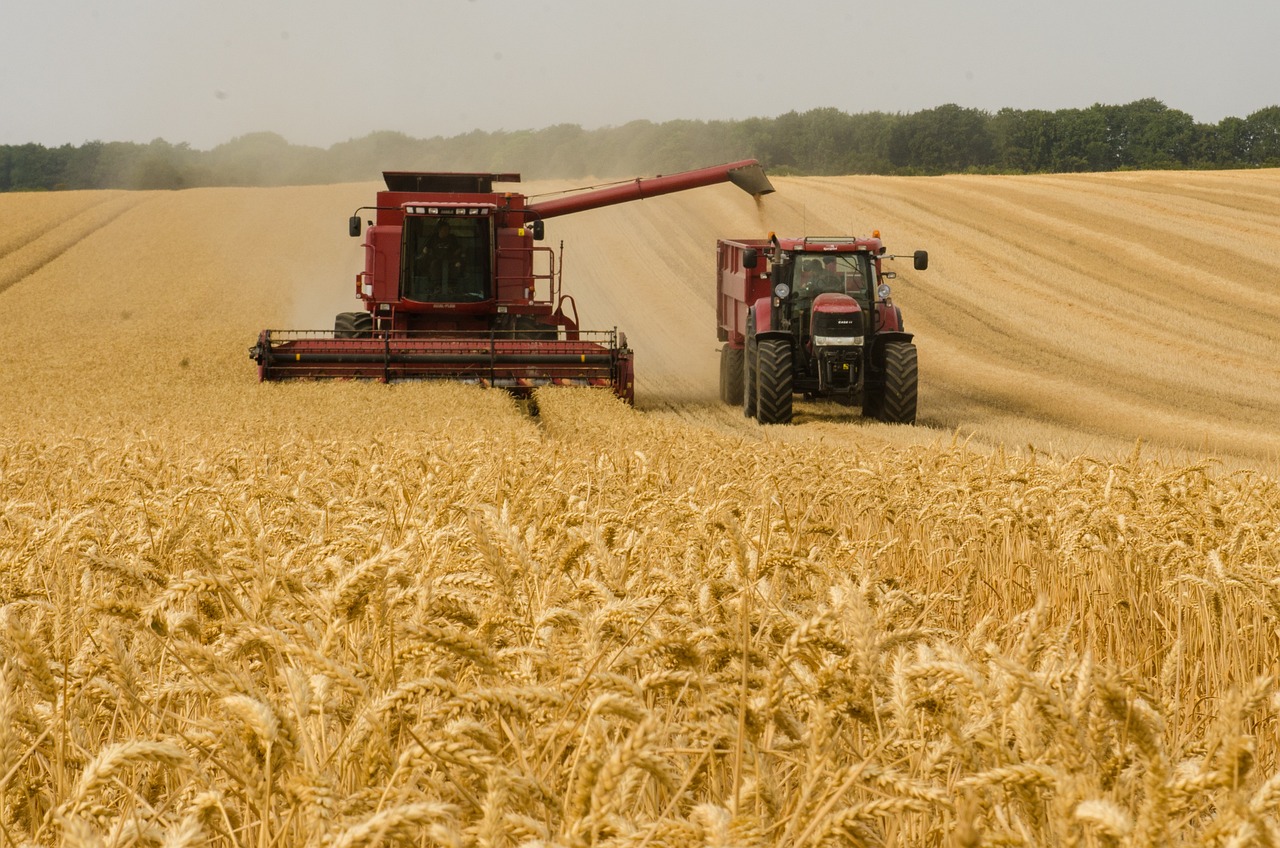 tracteur cereale blé recolte